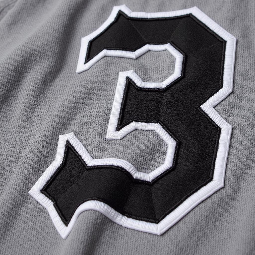 Close-up View of Baltimore Black Sox Jersey