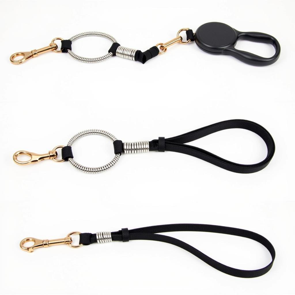 Different Types of Dog Leads with Spring