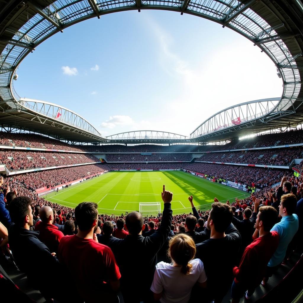 Fans Cheering in Stadium