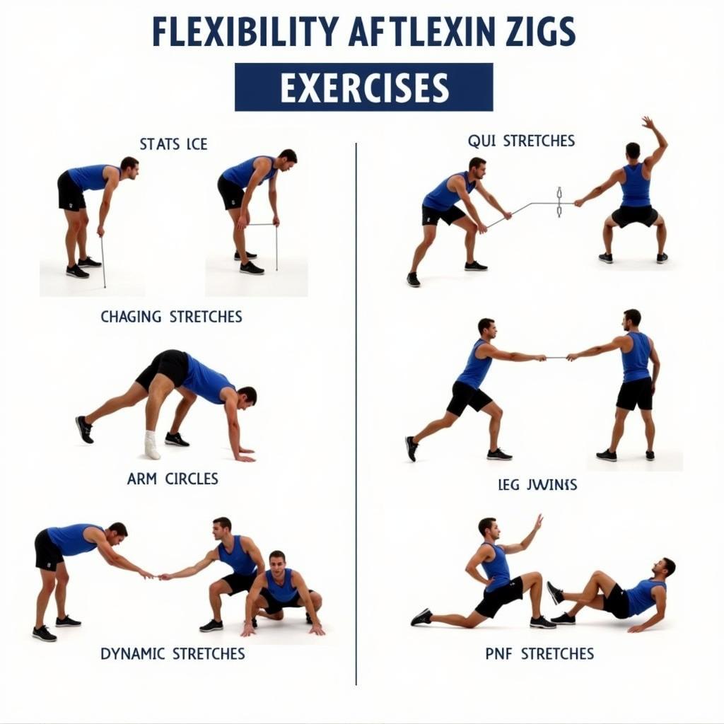 Flexibility Training Exercises for Athletes