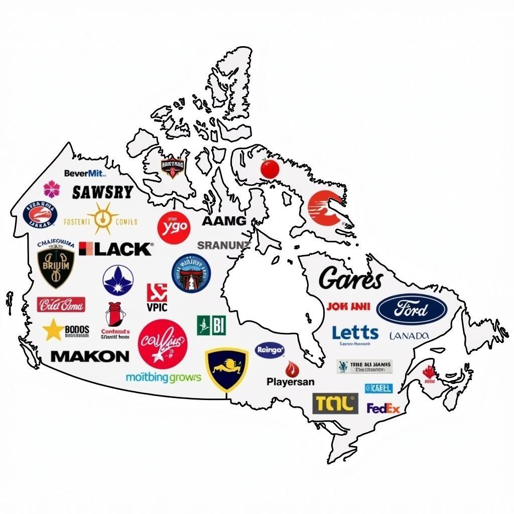 Top Yo Sox Brands Available in Canada