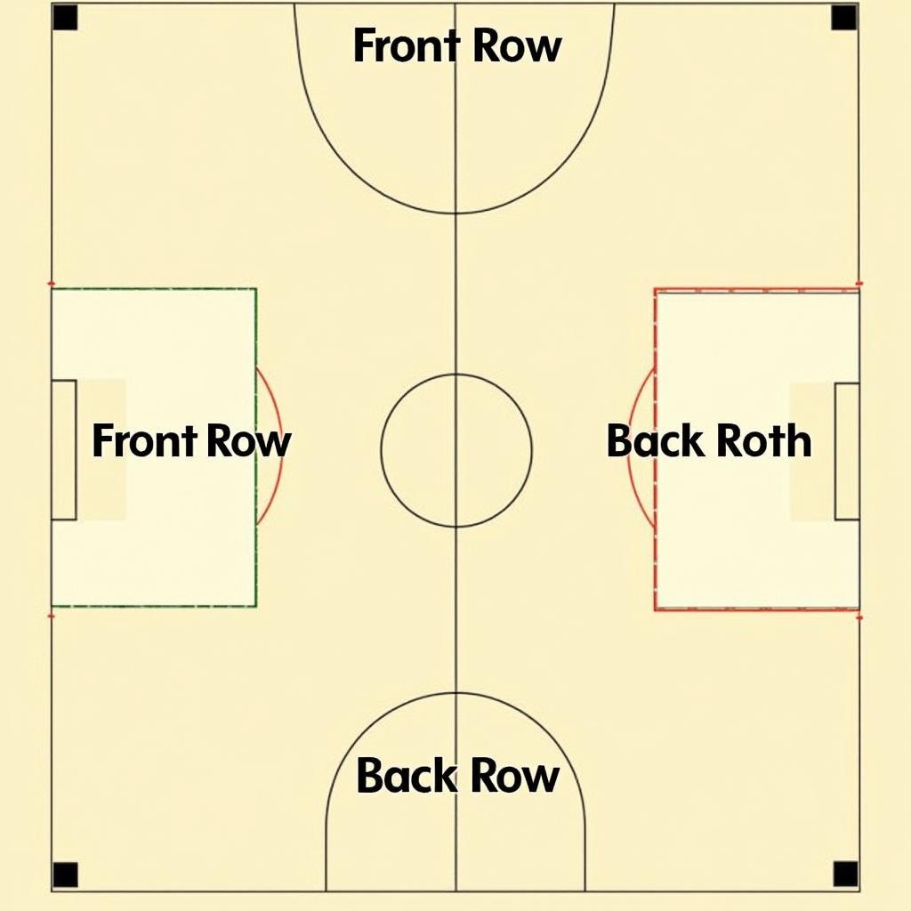 Understanding Volleyball Positions