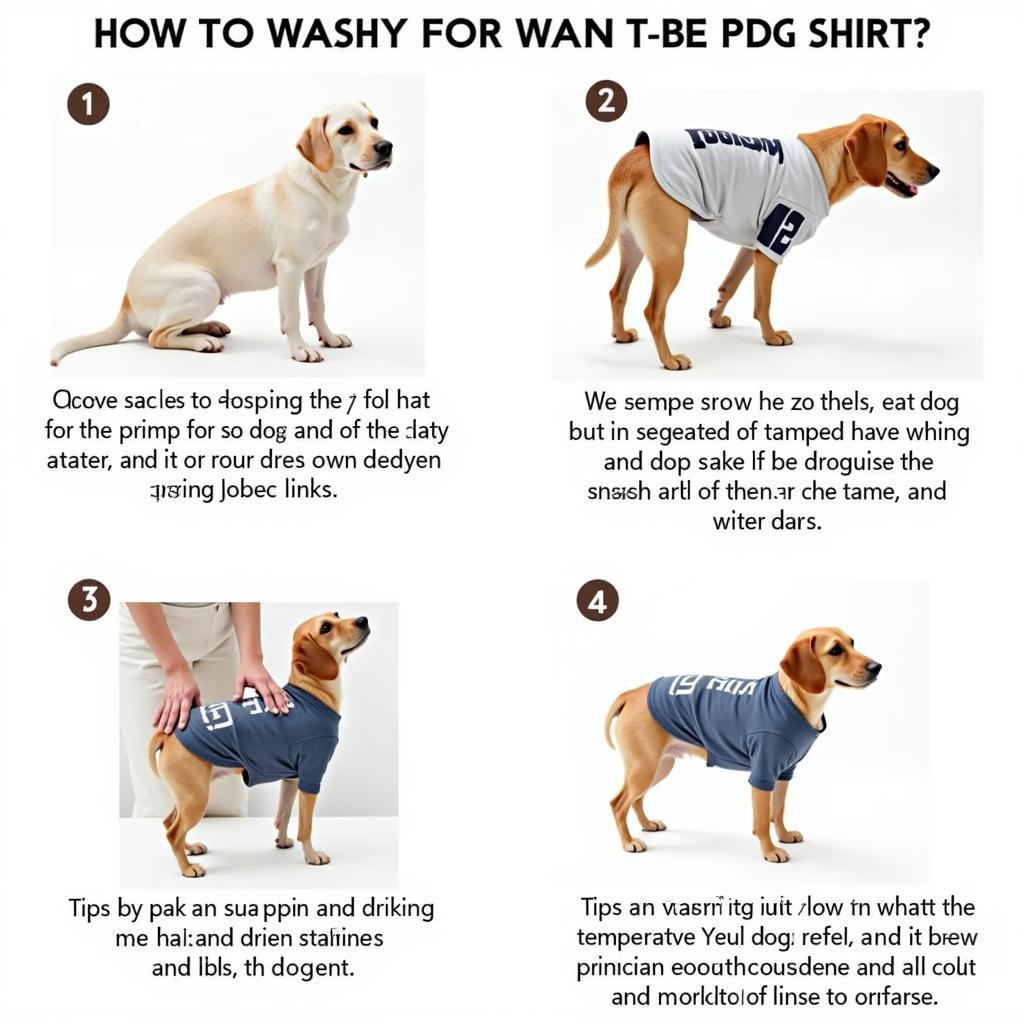 How to Wash a Dog Shirt